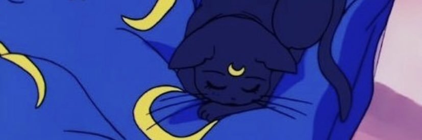 looschap's profile banner image