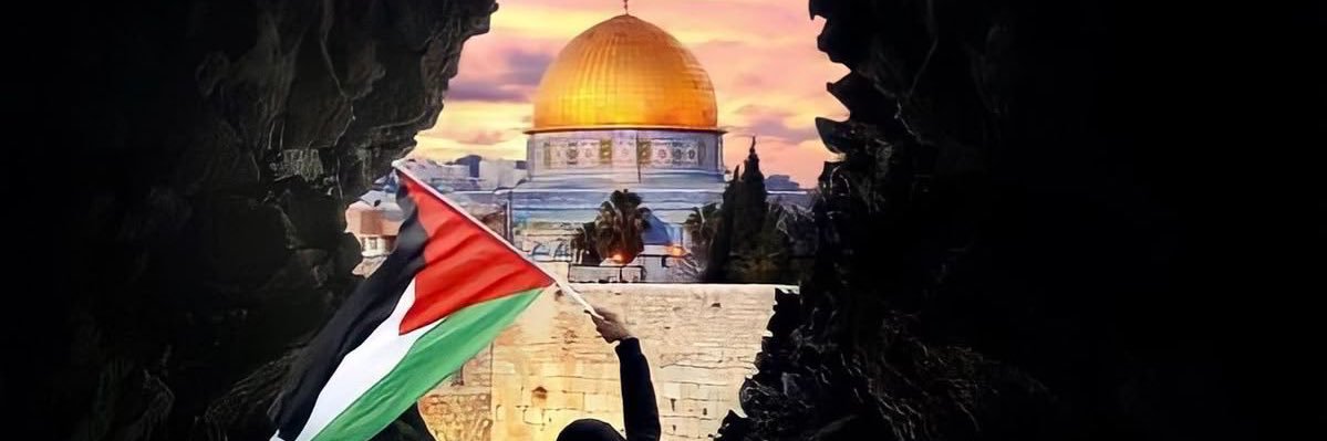 السيد عمر banner