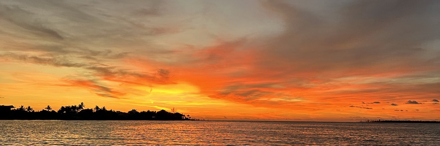 laureladeline's profile banner image