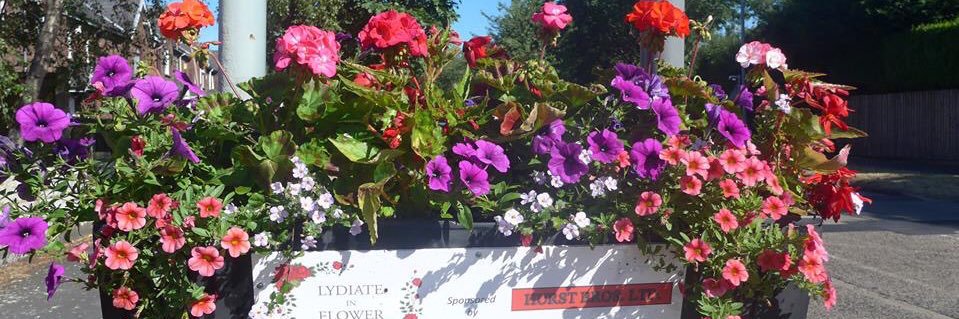 LydiateinFlower's profile banner image