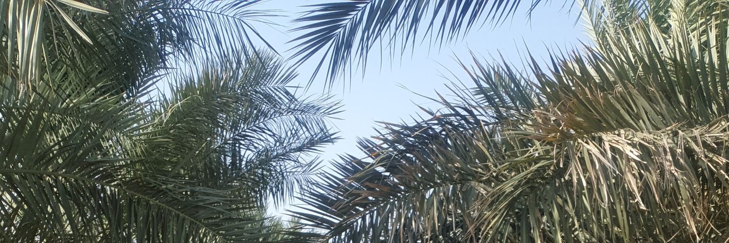 tota88992's profile banner image