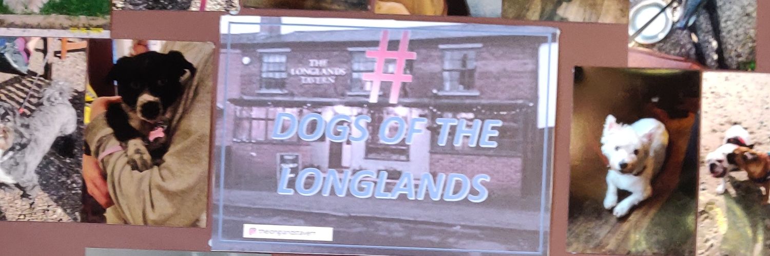TheLonglands's profile banner image