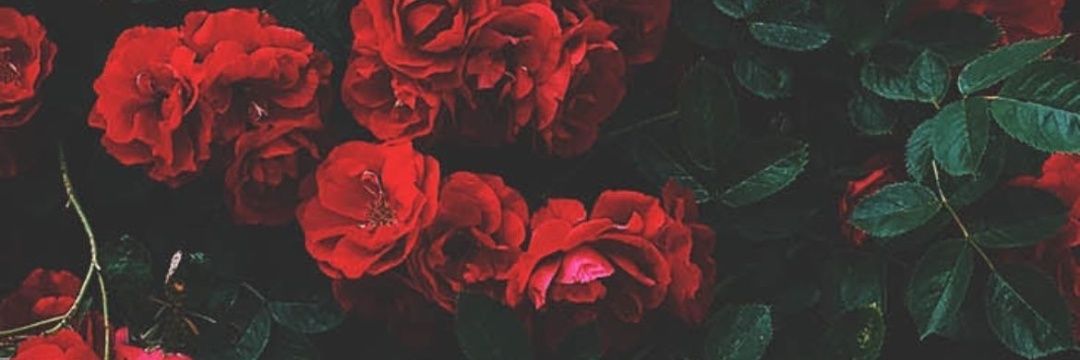 EvaLopezPuerta1's profile banner image