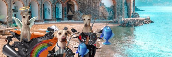 iggiesrule89 Profile Banner