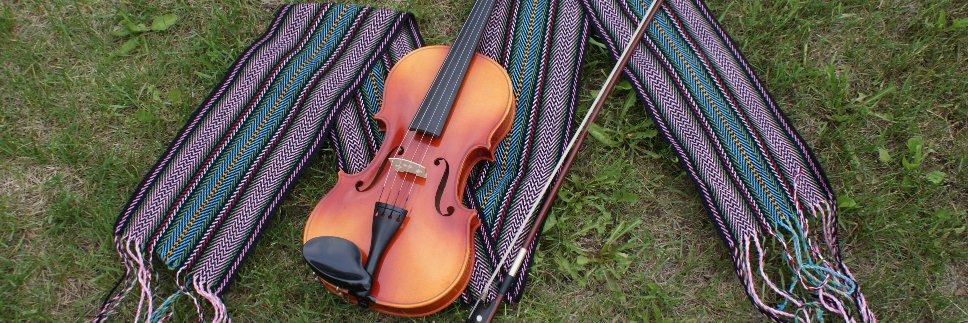 NWT Metis Nation banner