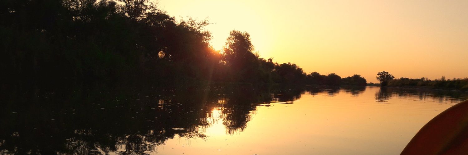 Ivana Templado banner