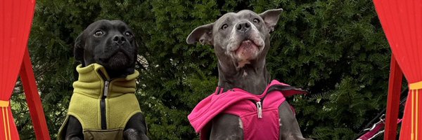 JulesAllenxx Profile Banner