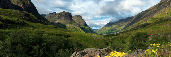 Fiona Scott Morton banner