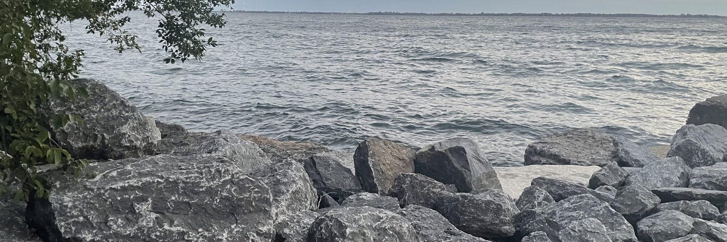 liammcgunns's profile banner image