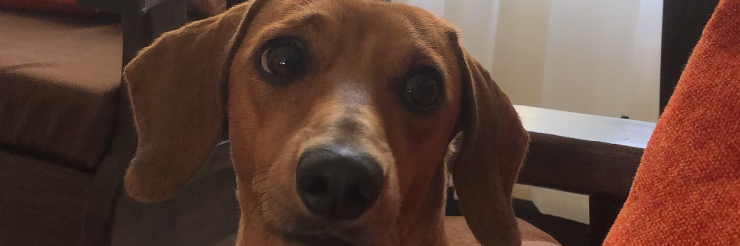 FiorellaMaria10's profile banner image