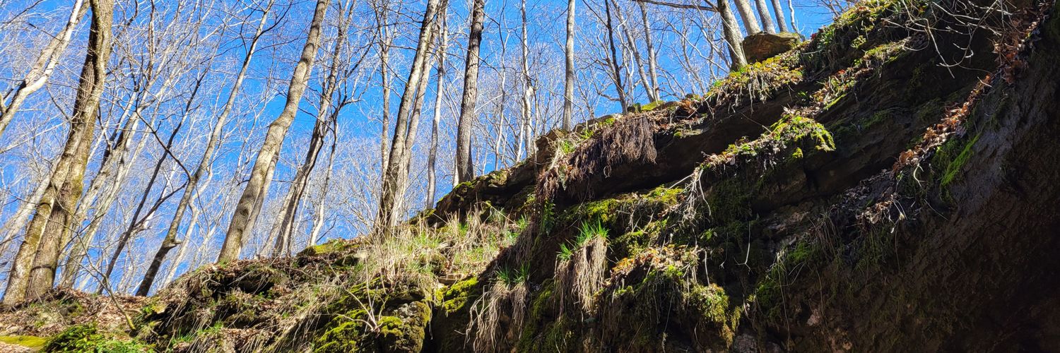 Fernanda Santos banner