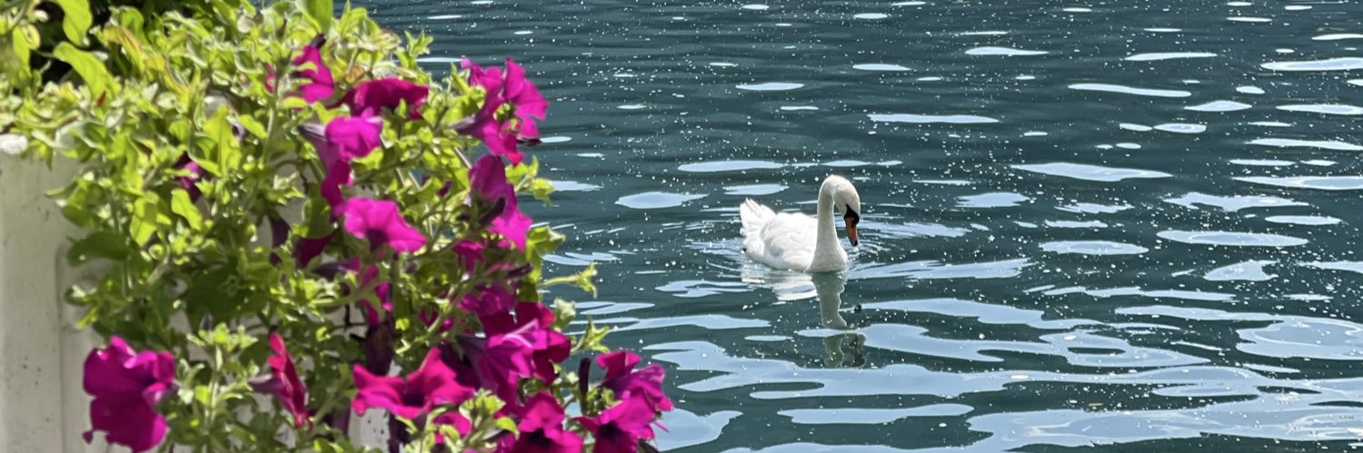 سايكوباتي banner