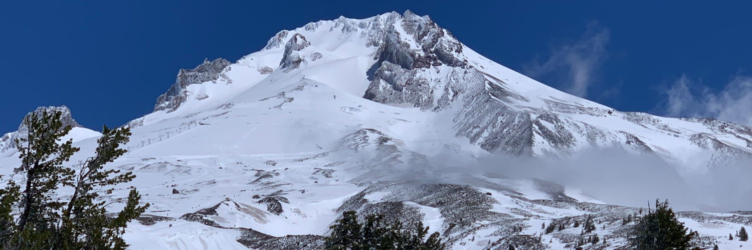 emesselt's profile banner image
