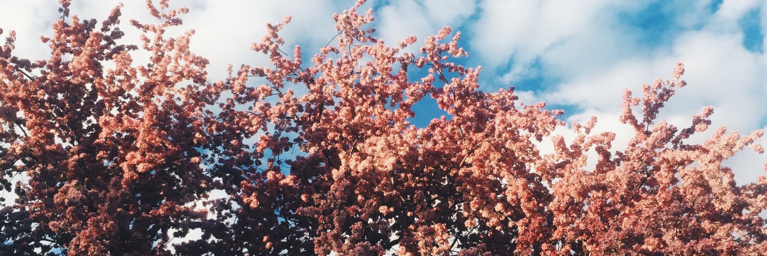 JessTons's profile banner image