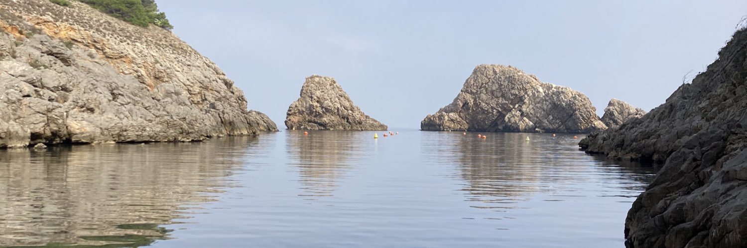 Ramon Resclosa banner