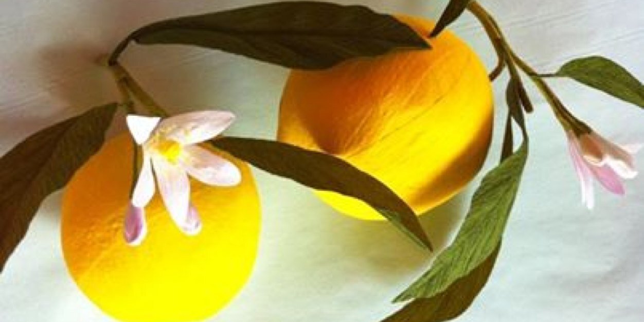 ErinGilbertMD's profile banner image