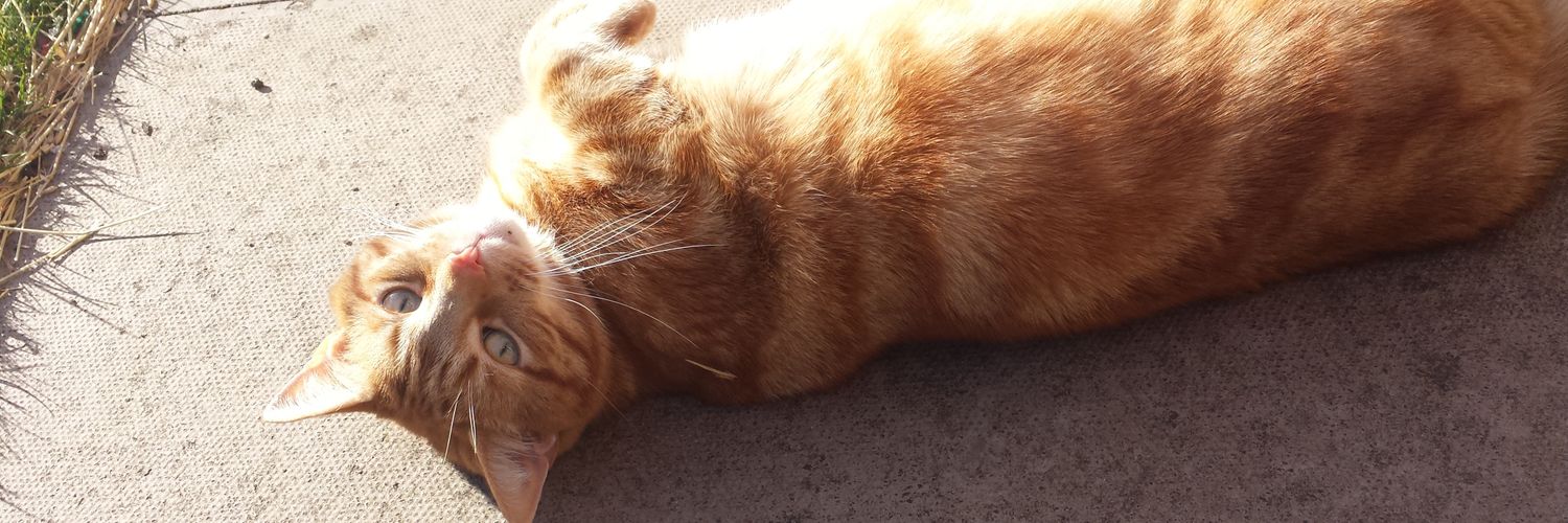 The Happy Fallen banner