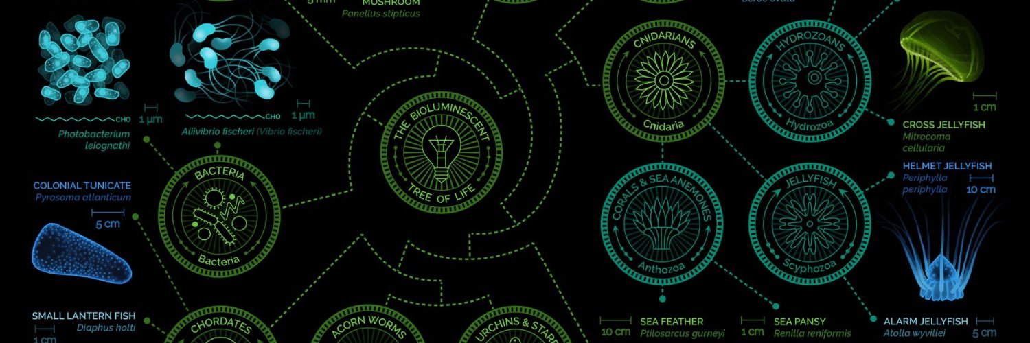 Subhanhadi's profile banner image