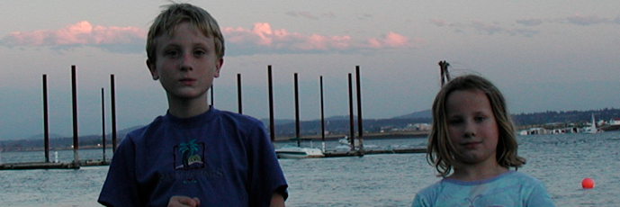 William Morris banner