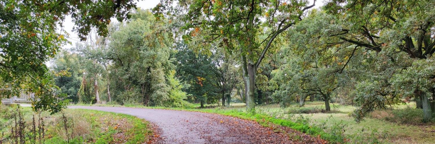 Solly6795's profile banner image