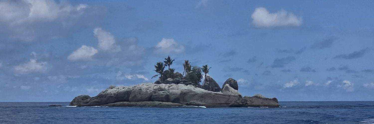 بندر الغامدي banner