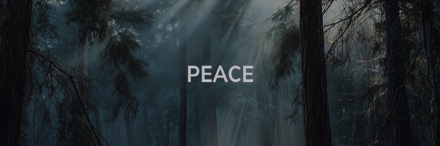 RigaRodrigo's profile banner image