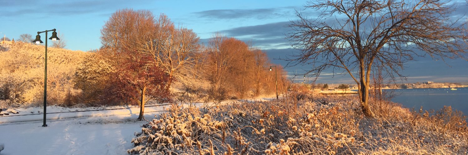 jillmcflinn's profile banner image