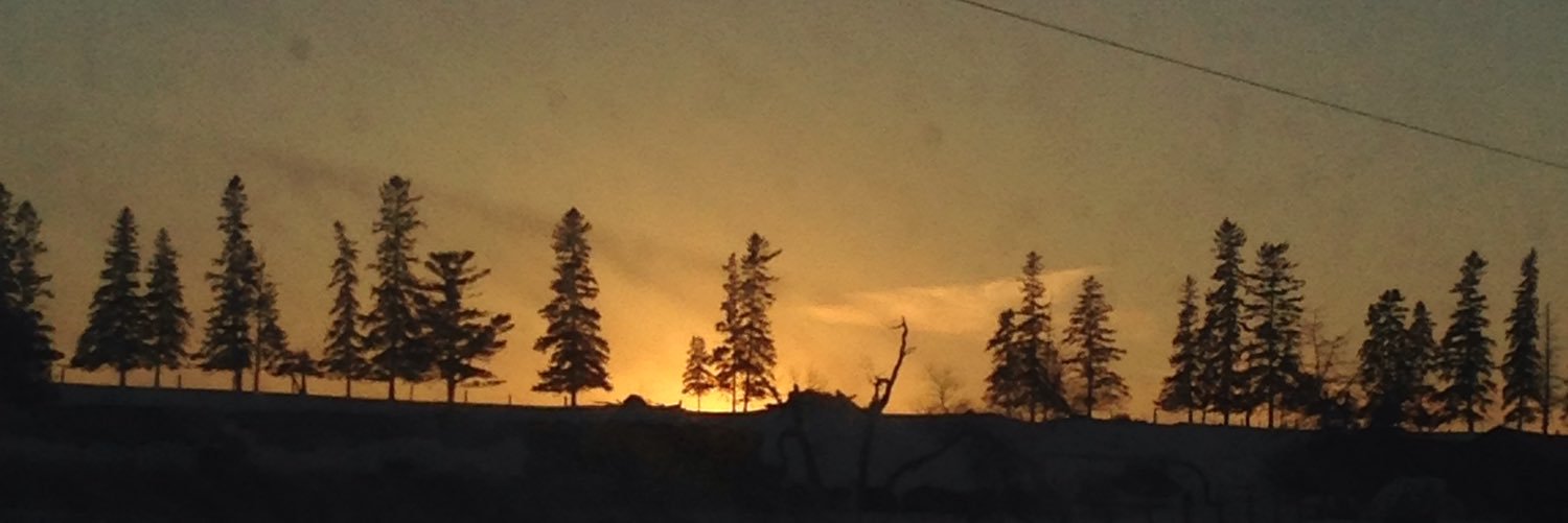 Devan kavanagh banner