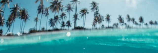 celiatraore's profile banner image