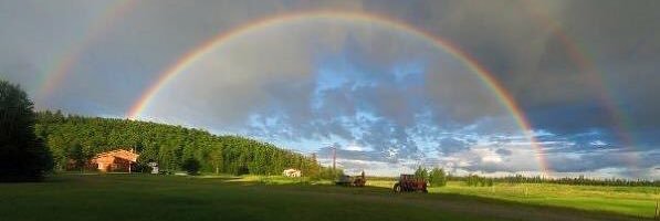 LeagueRainbow's profile banner image