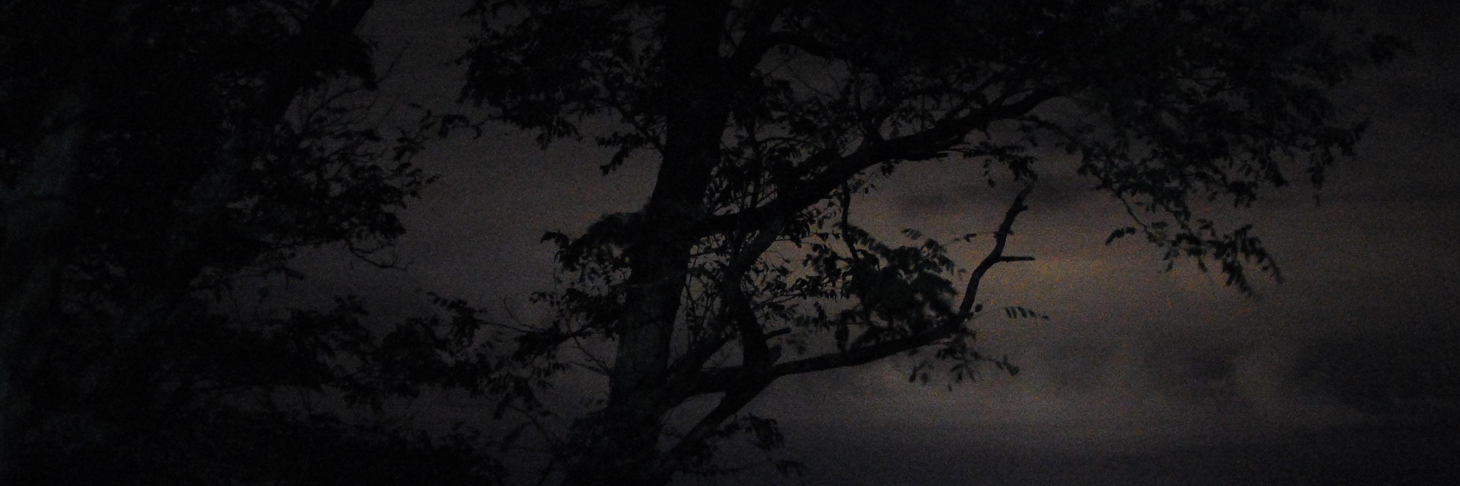 alex291177's profile banner image