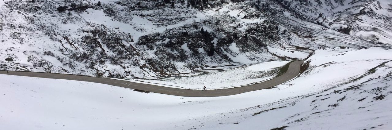 Marieke Hansma - de Jong banner