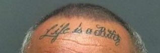 alllexbradley's profile banner image