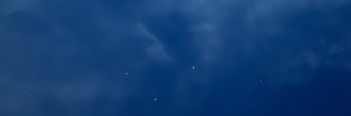 paulasauma's profile banner image