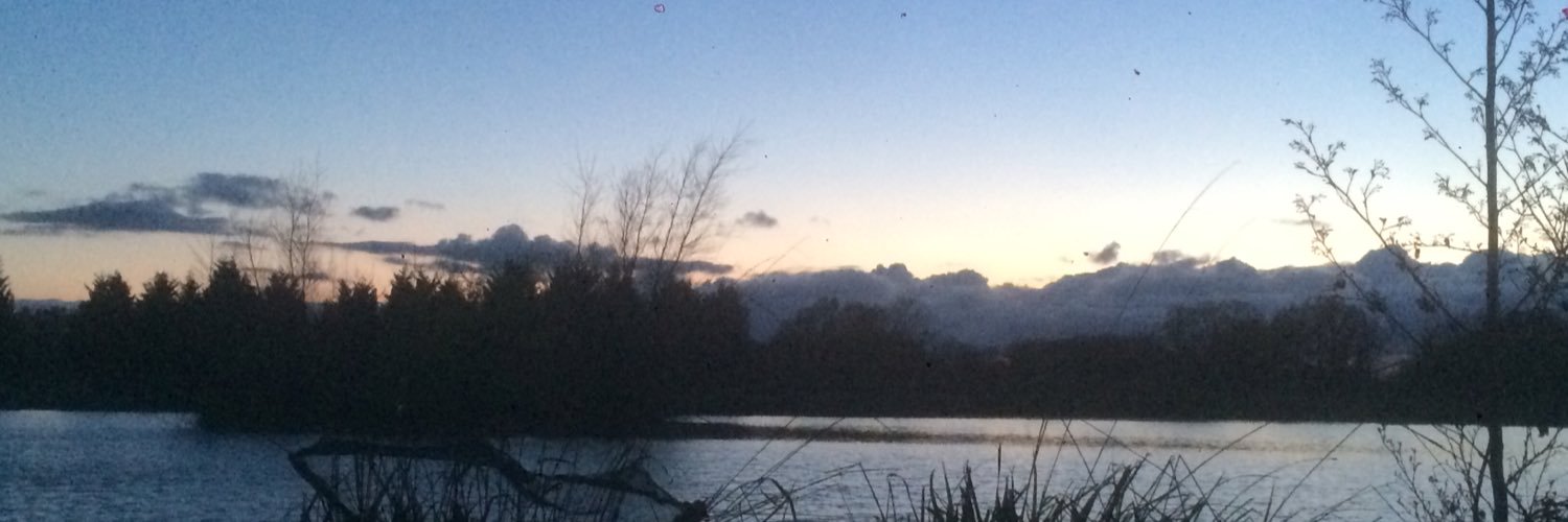 CronesElliot's profile banner image