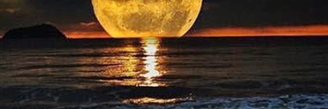 Untainted banner