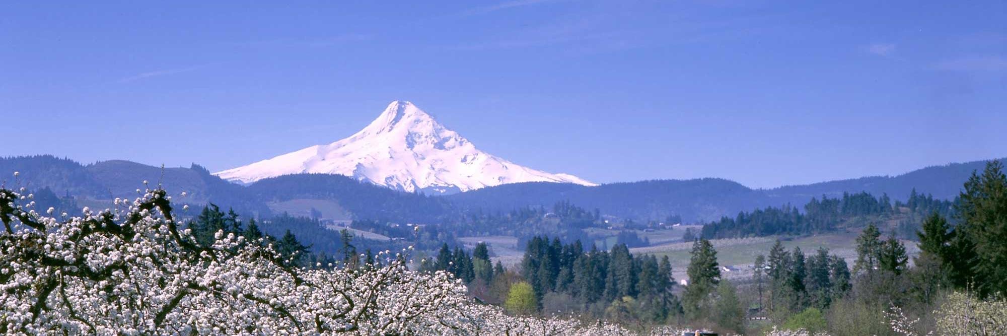 Oregoneval's profile banner image
