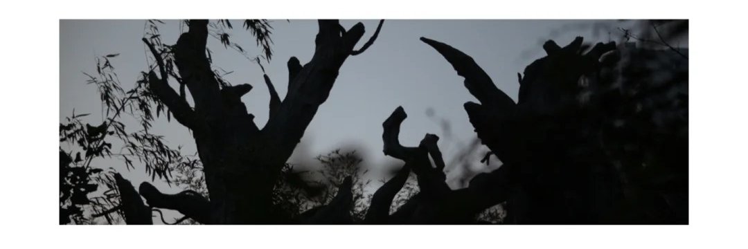 Leon N. Fleuret banner