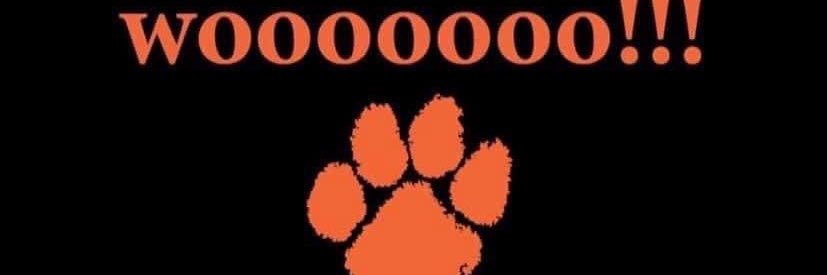 LeeWildcatFootball banner