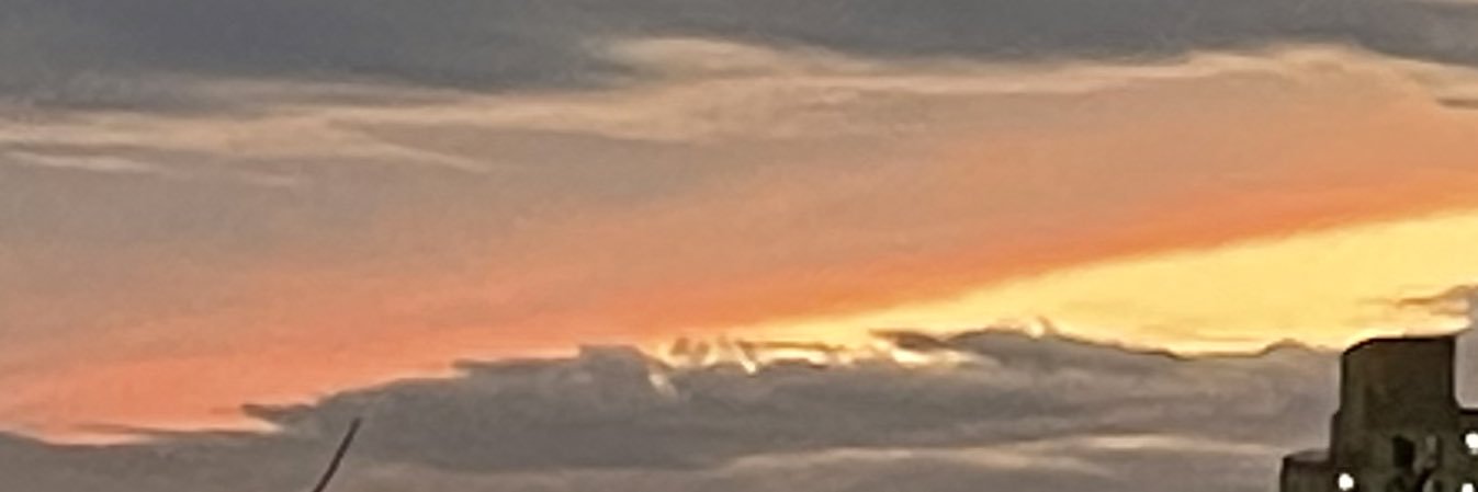 anna fox rochinski banner