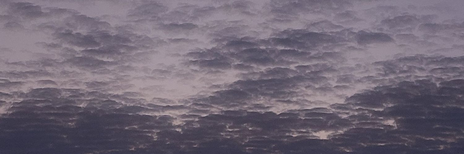sh_d_zh's profile banner image