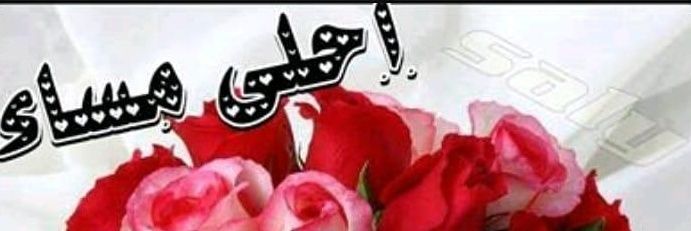saieed36's profile banner image