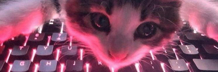 kettacide's profile banner image