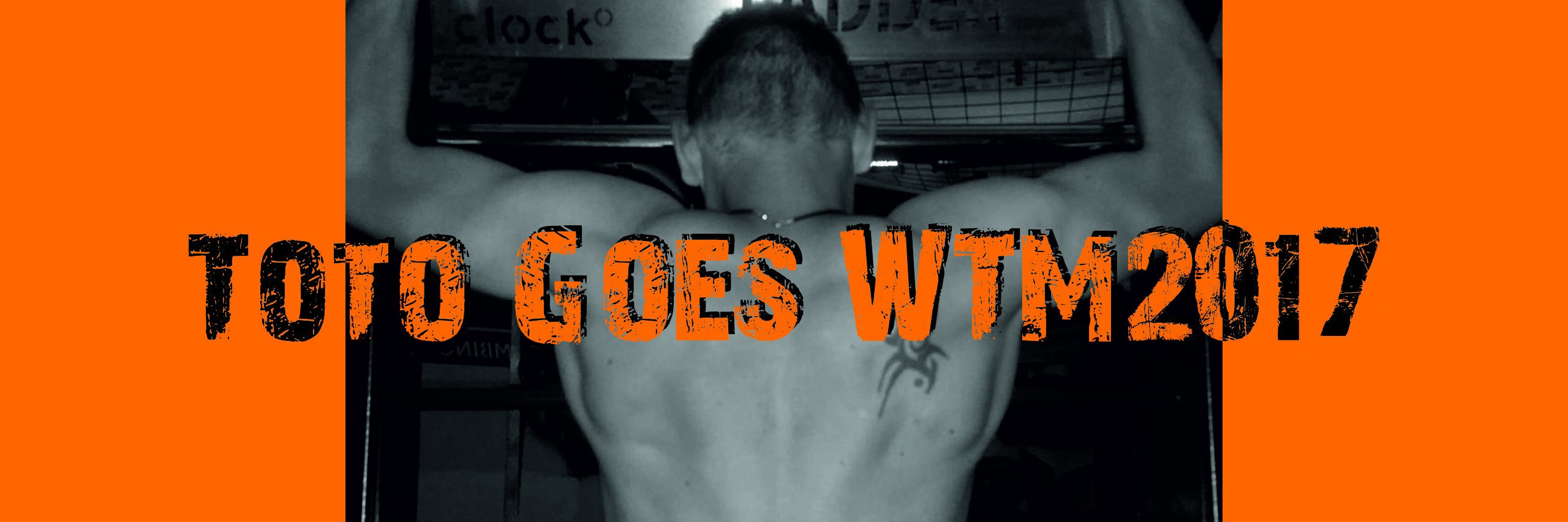 TotoWTM's profile banner image