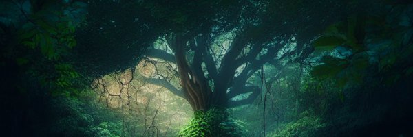 _wagmi Profile Banner