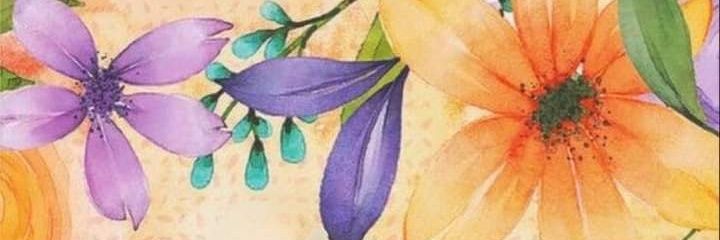 majadaro's profile banner image