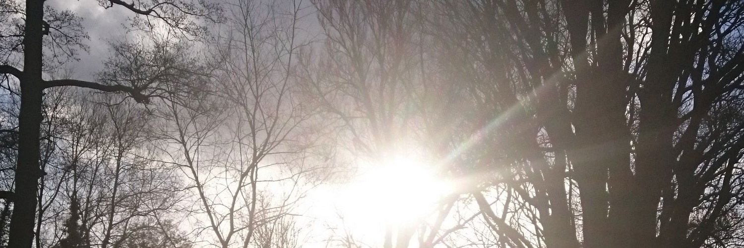beinglikewater's profile banner image