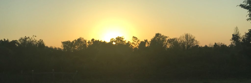 Tina_Fox_11's profile banner image