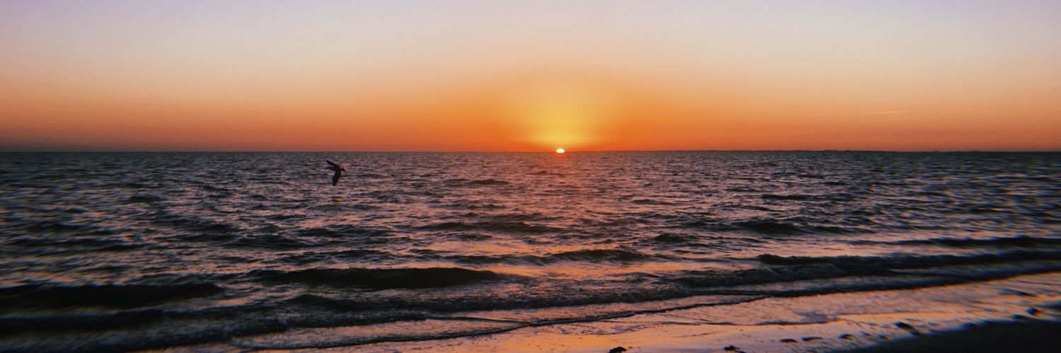 TaylorRouse6's profile banner image