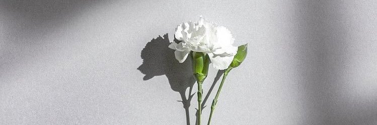 iassi2's profile banner image